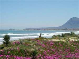 Apartamentos Nova Denia - Deniasol ภายนอก รูปภาพ